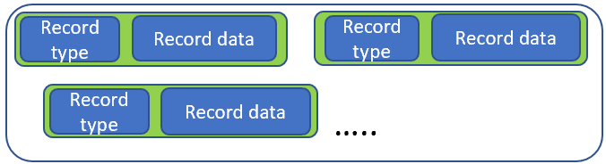 Serialized payload records